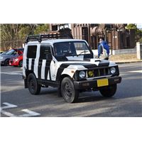 180218maiko (11).JPG